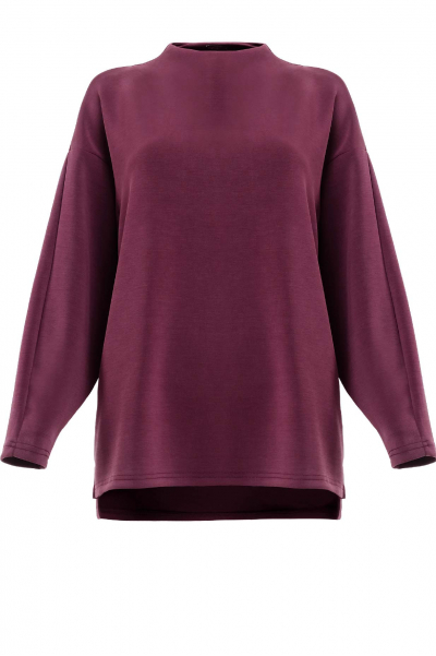 Denali Soft High Neck Blouse